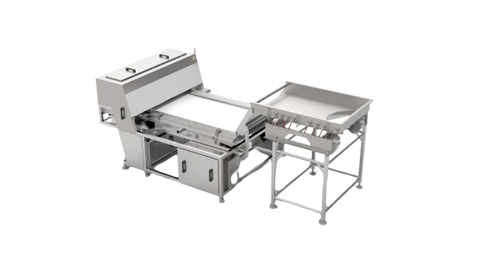 Belt Type Optical Color Sorter