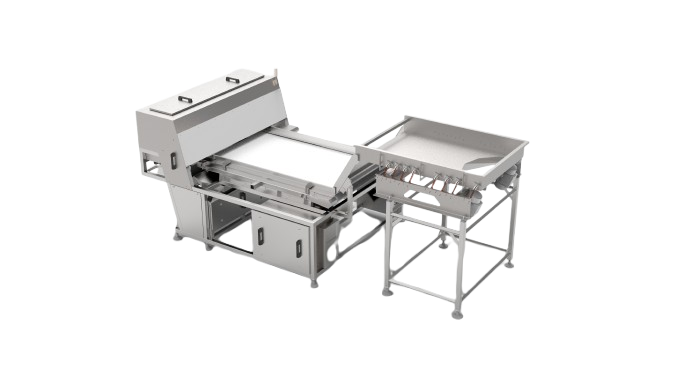 Optical Belt Color Sorter