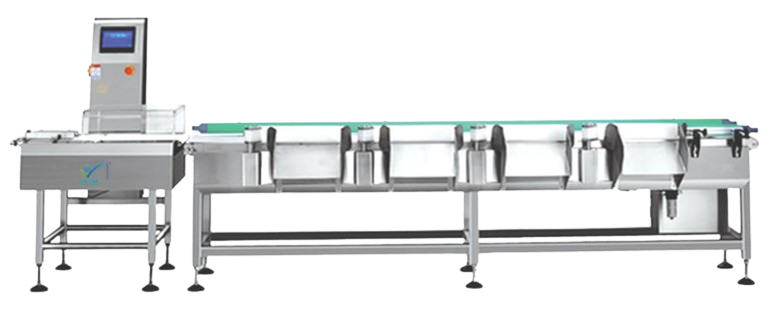 Multi Tray Weight Sorting Machine